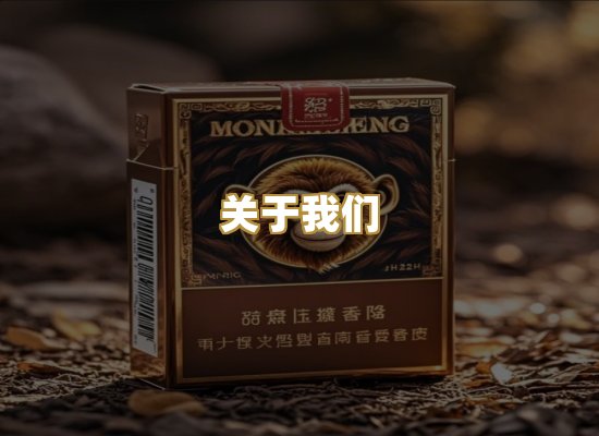 关于我们